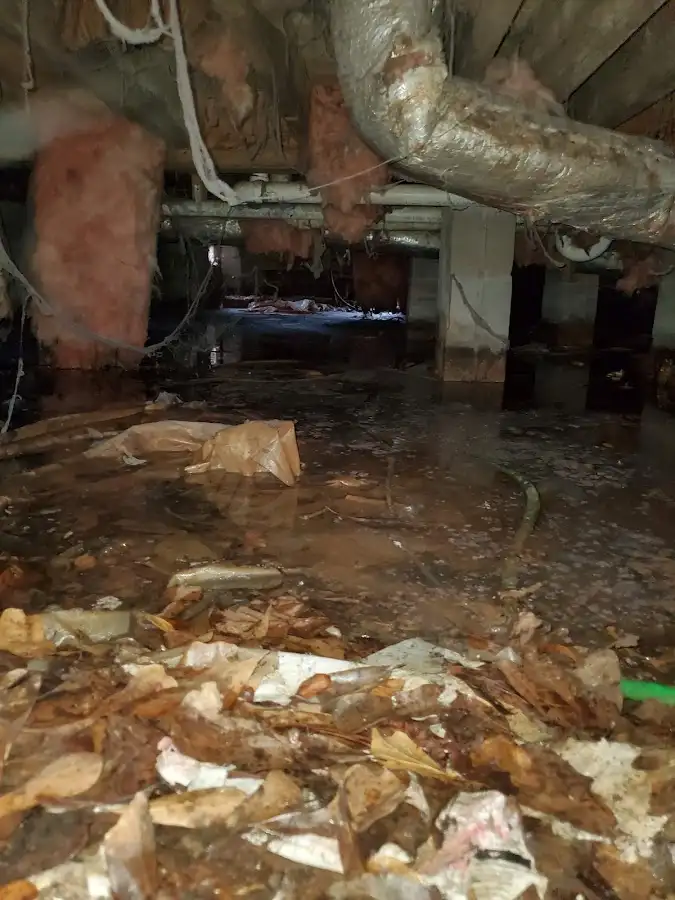 Crawl space flood assessment for Commercial Water Damage Restoration in Hutto