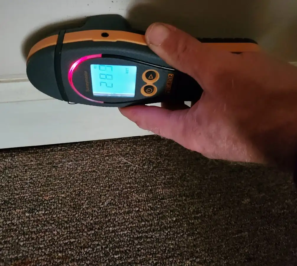 Moisture detection at baseboard during Sewage Cleanup & Sanitation in Hutto